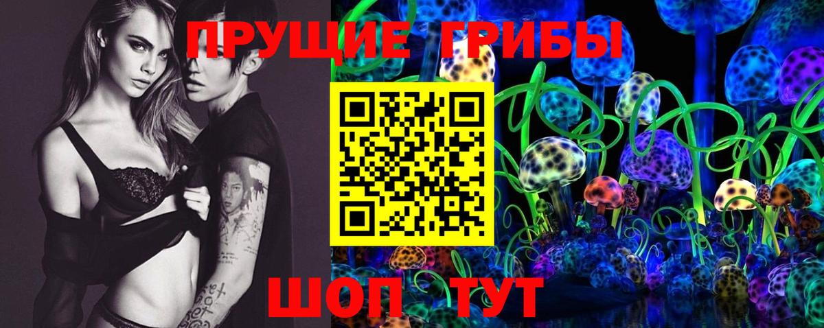 Дедовск  Галлюциногенные грибы Psilocybe  Вход с VPN 